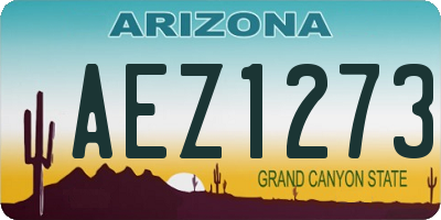 AZ license plate AEZ1273