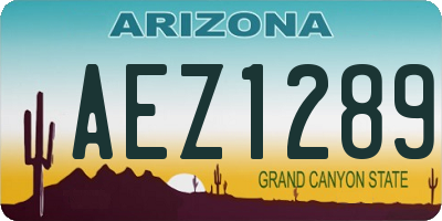 AZ license plate AEZ1289