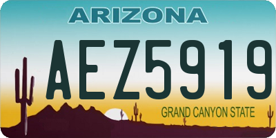 AZ license plate AEZ5919