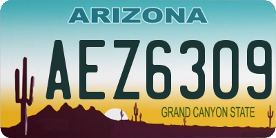 AZ license plate AEZ6309