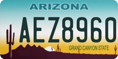 AZ license plate AEZ8960