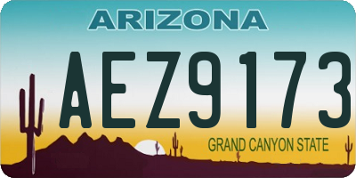 AZ license plate AEZ9173