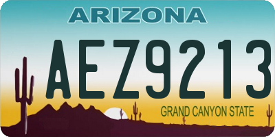 AZ license plate AEZ9213