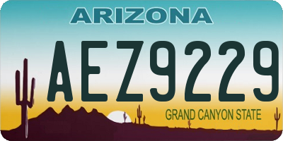 AZ license plate AEZ9229