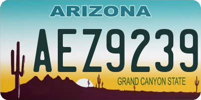 AZ license plate AEZ9239