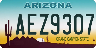 AZ license plate AEZ9307