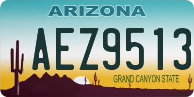 AZ license plate AEZ9513