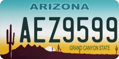 AZ license plate AEZ9599