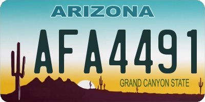AZ license plate AFA4491