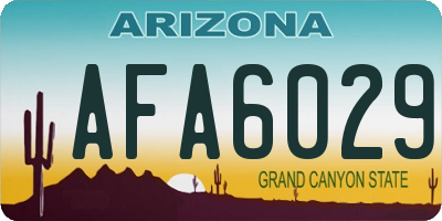 AZ license plate AFA6029