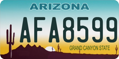 AZ license plate AFA8599