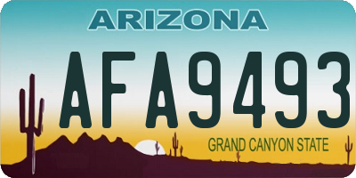 AZ license plate AFA9493