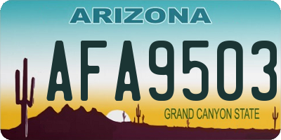 AZ license plate AFA9503