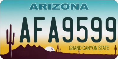AZ license plate AFA9599
