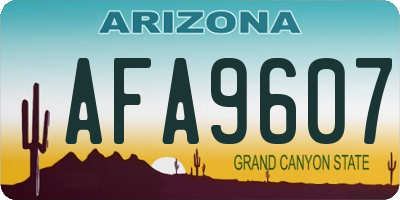 AZ license plate AFA9607