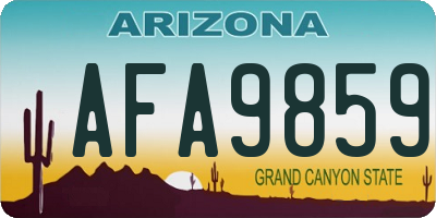 AZ license plate AFA9859