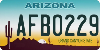 AZ license plate AFB0229
