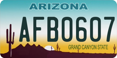 AZ license plate AFB0607
