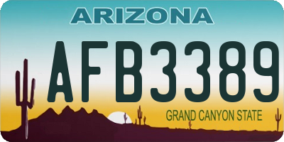 AZ license plate AFB3389
