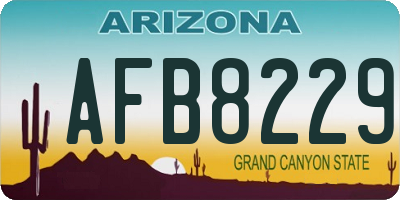 AZ license plate AFB8229