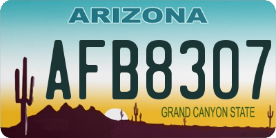 AZ license plate AFB8307