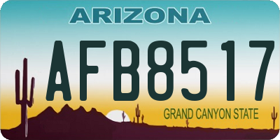 AZ license plate AFB8517