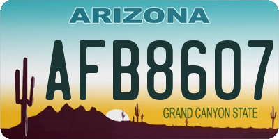 AZ license plate AFB8607