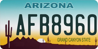 AZ license plate AFB8960