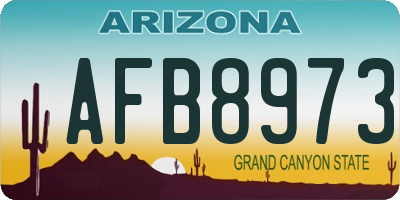 AZ license plate AFB8973