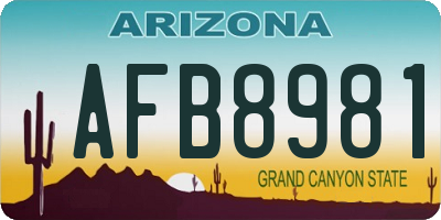AZ license plate AFB8981