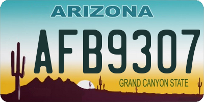 AZ license plate AFB9307