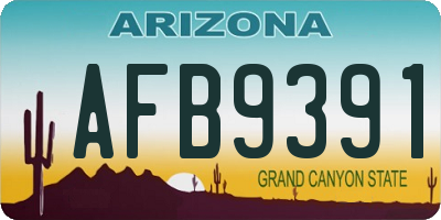 AZ license plate AFB9391