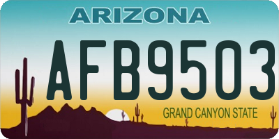 AZ license plate AFB9503