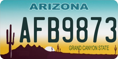 AZ license plate AFB9873