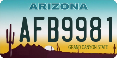AZ license plate AFB9981