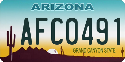 AZ license plate AFC0491