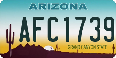 AZ license plate AFC1739