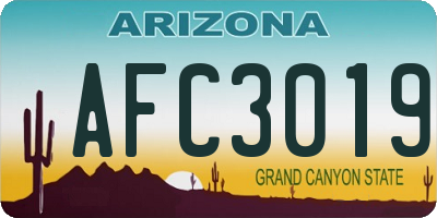 AZ license plate AFC3019