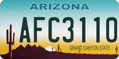AZ license plate AFC3110