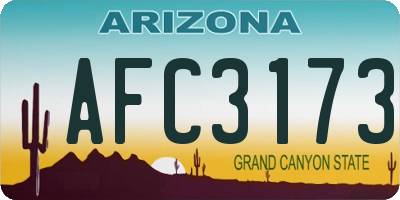 AZ license plate AFC3173