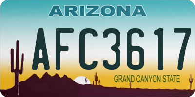 AZ license plate AFC3617