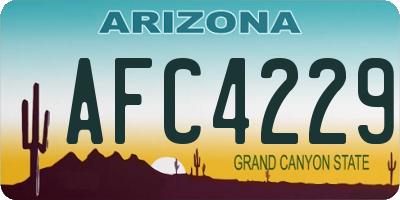 AZ license plate AFC4229