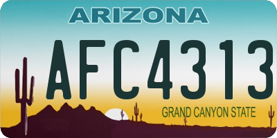AZ license plate AFC4313