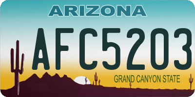 AZ license plate AFC5203