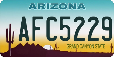 AZ license plate AFC5229