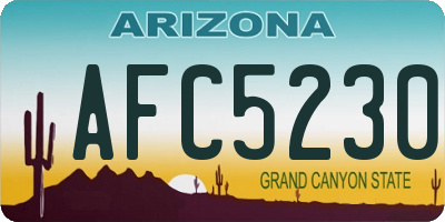 AZ license plate AFC5230