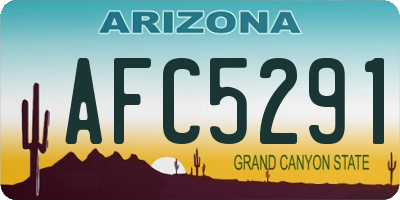 AZ license plate AFC5291