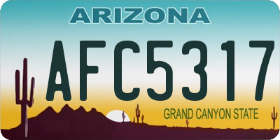 AZ license plate AFC5317