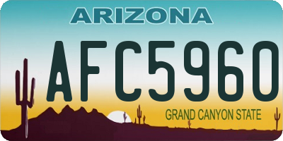 AZ license plate AFC5960