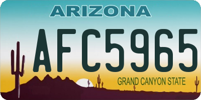AZ license plate AFC5965